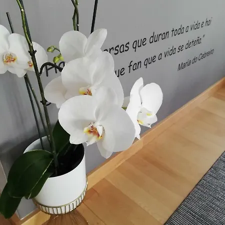 Maison d'hôtes Camino Norte Vilalba