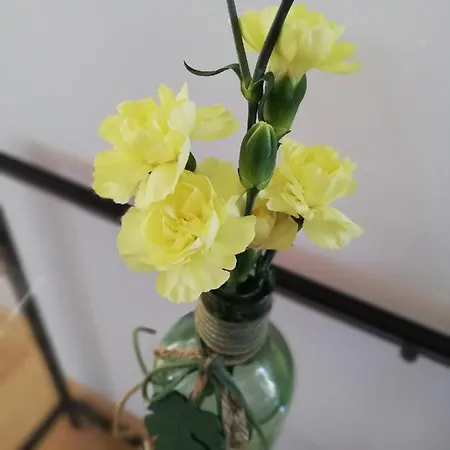 Maison d'hôtes Camino Norte 3*